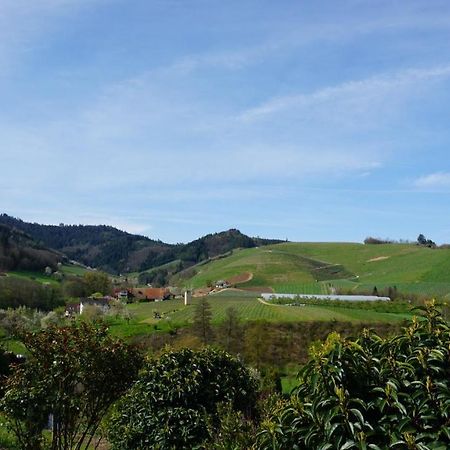 Ferienwohnung Anna Durbach Exteriér fotografie