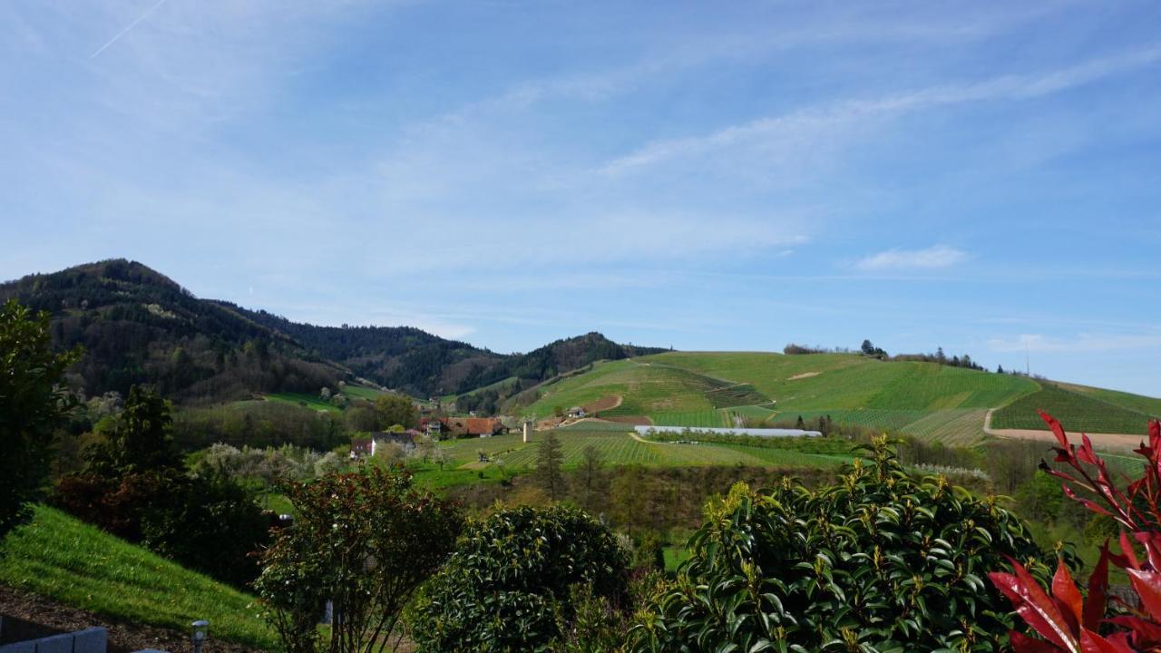 Ferienwohnung Anna Durbach Exteriér fotografie